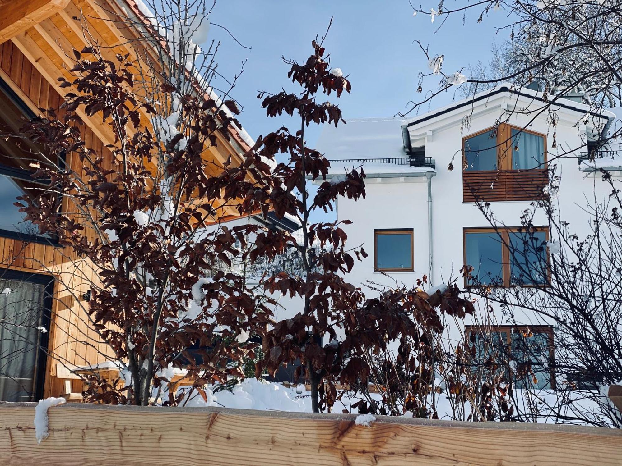 Schlossquelle Königsdorf Konigsdorf Exterior foto